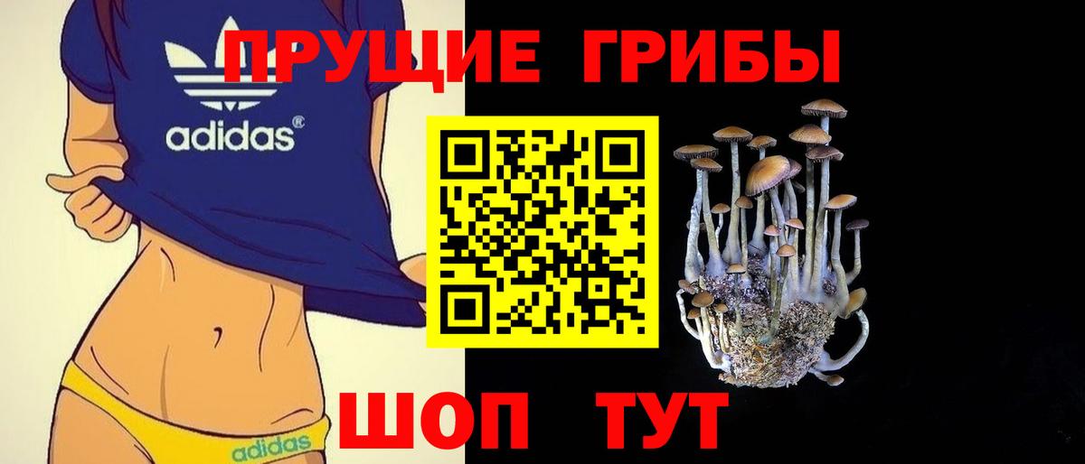 Псилоцибиновые грибы ЛСД  Вход с VPN  Елизово  Галлюциногенные грибы MAGIC MUSHROOMS 